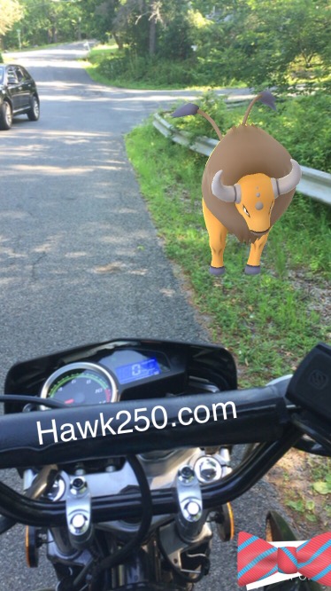 Went Hunting Pokemon with the Hawk 250