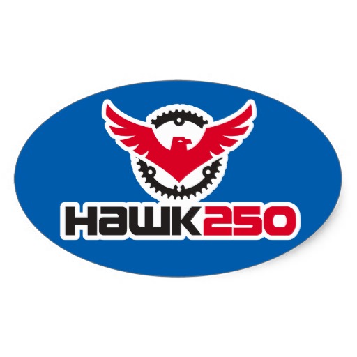 hawk_250_logo_blue_background_oval_sticker