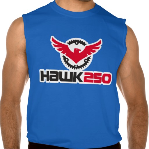 mens_ultra_cotton_sleeveless_hawk_250_t_shirt